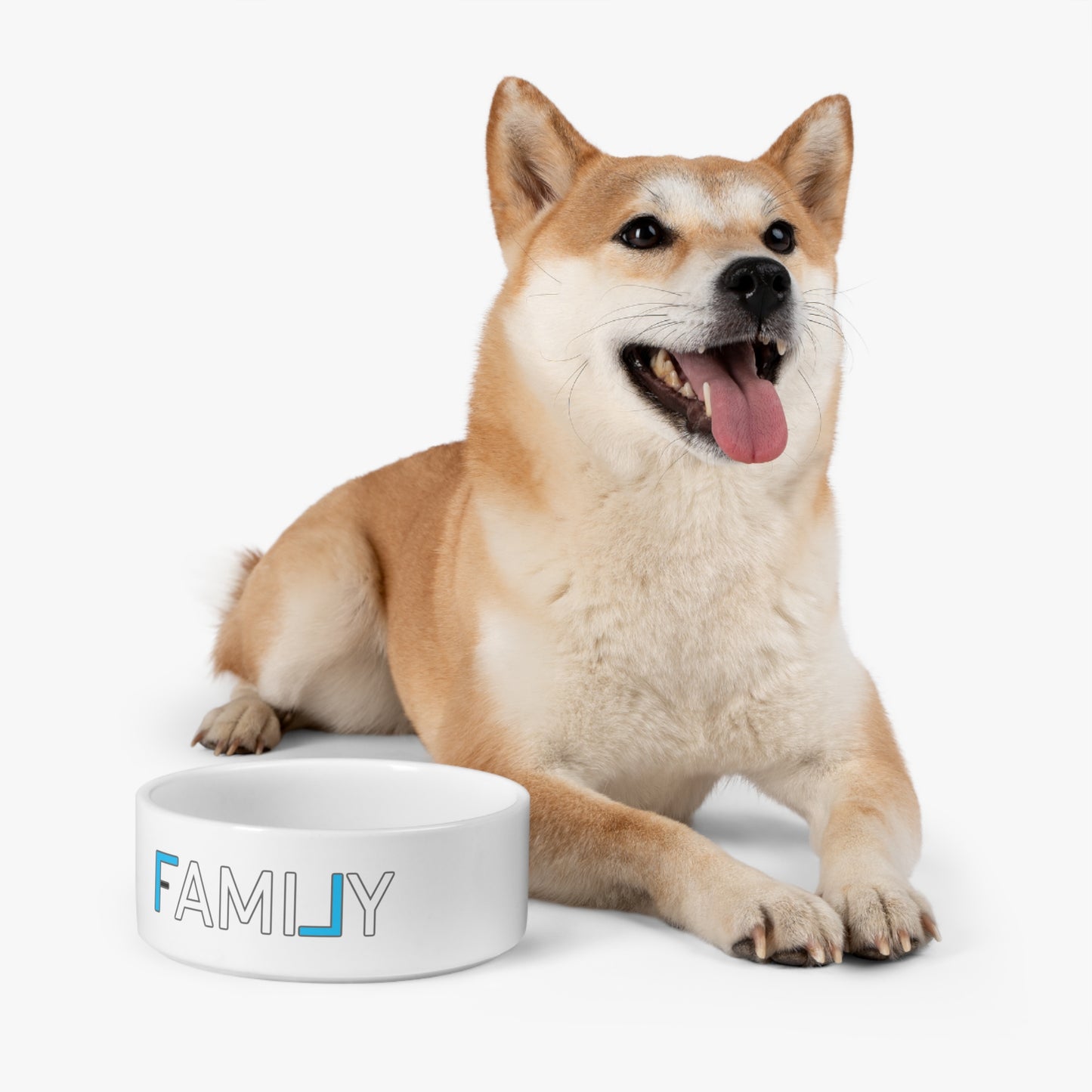 REAL Family Blue Pet Bowl