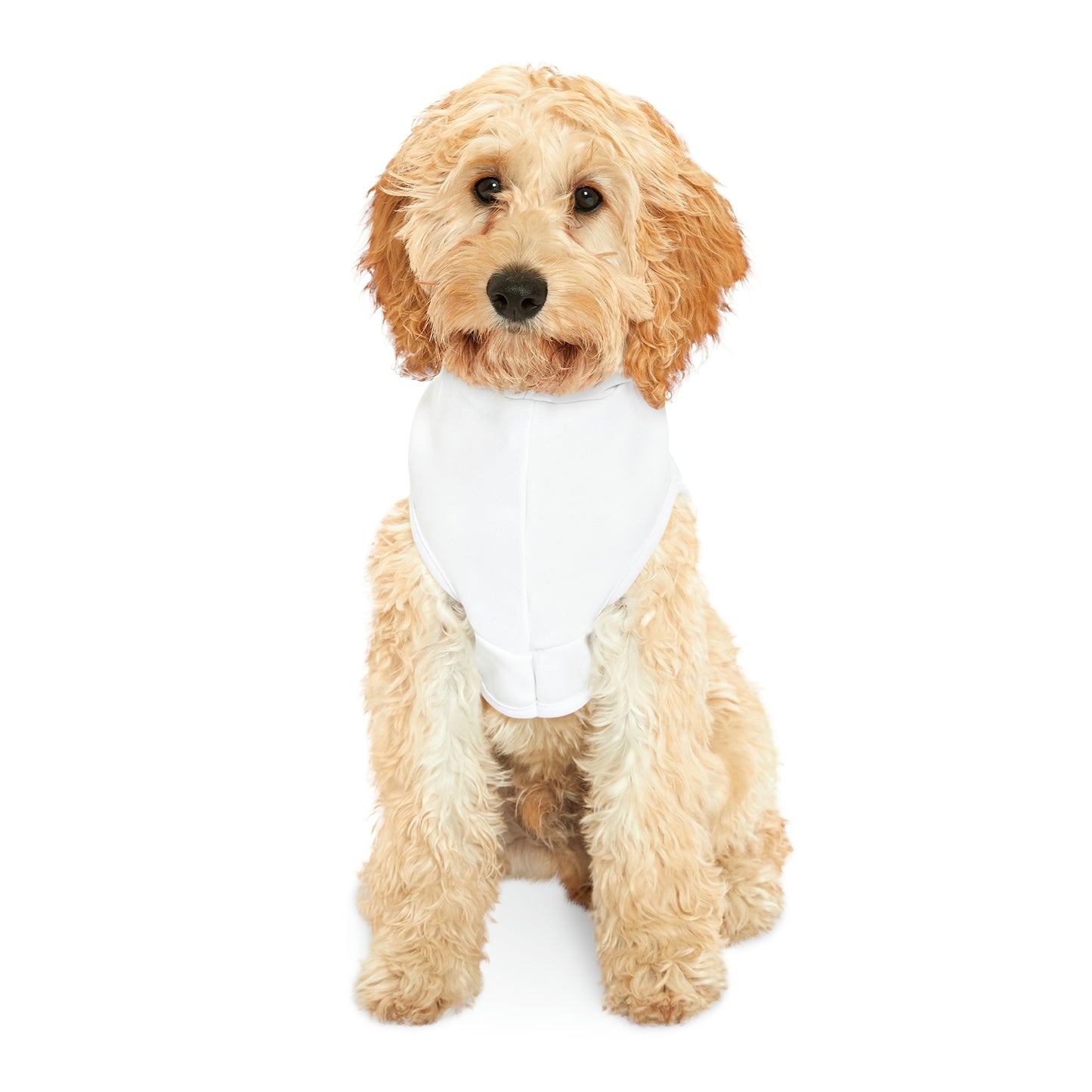 Home Owners 2024 Pet Hoodie