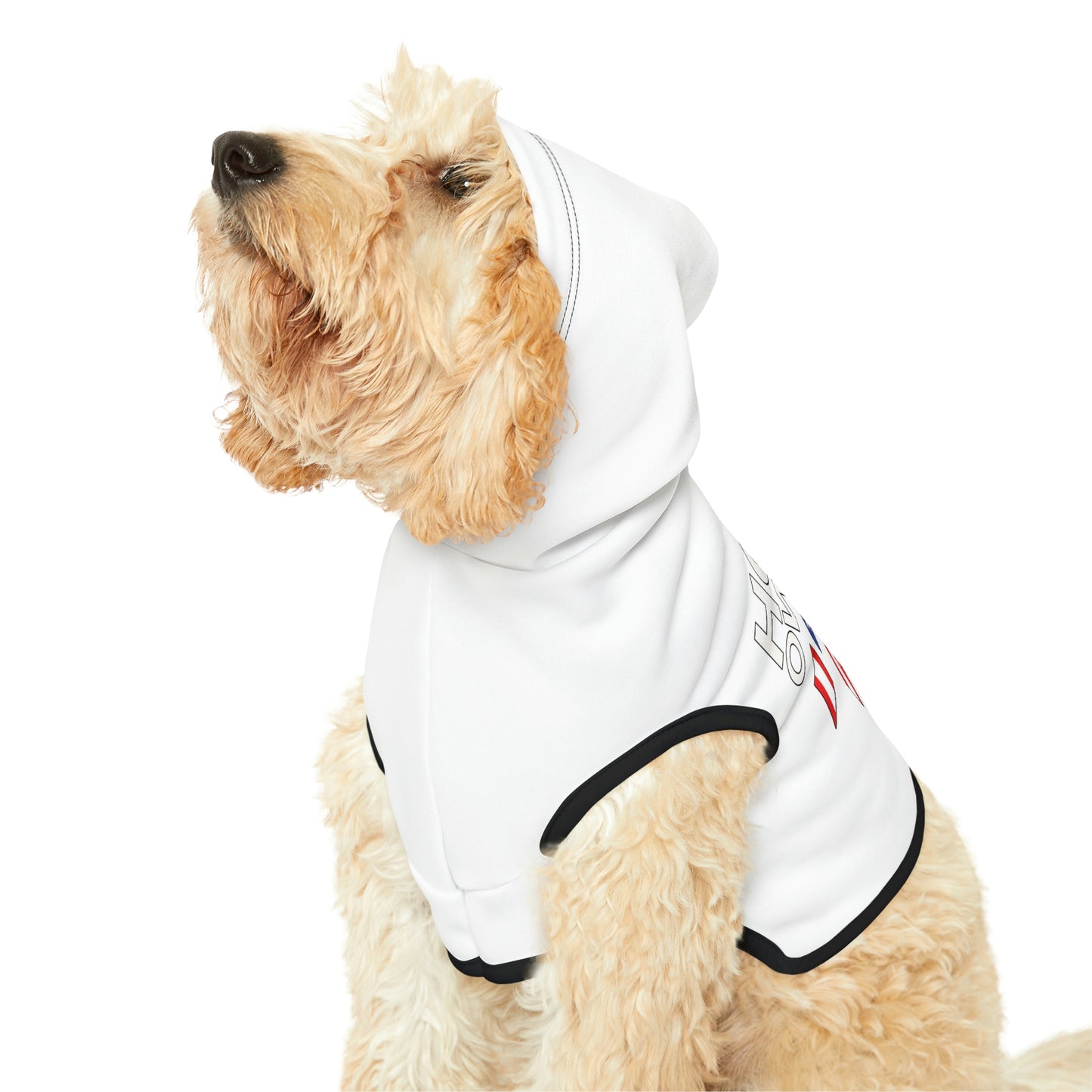 Home Owners 2024 Pet Hoodie