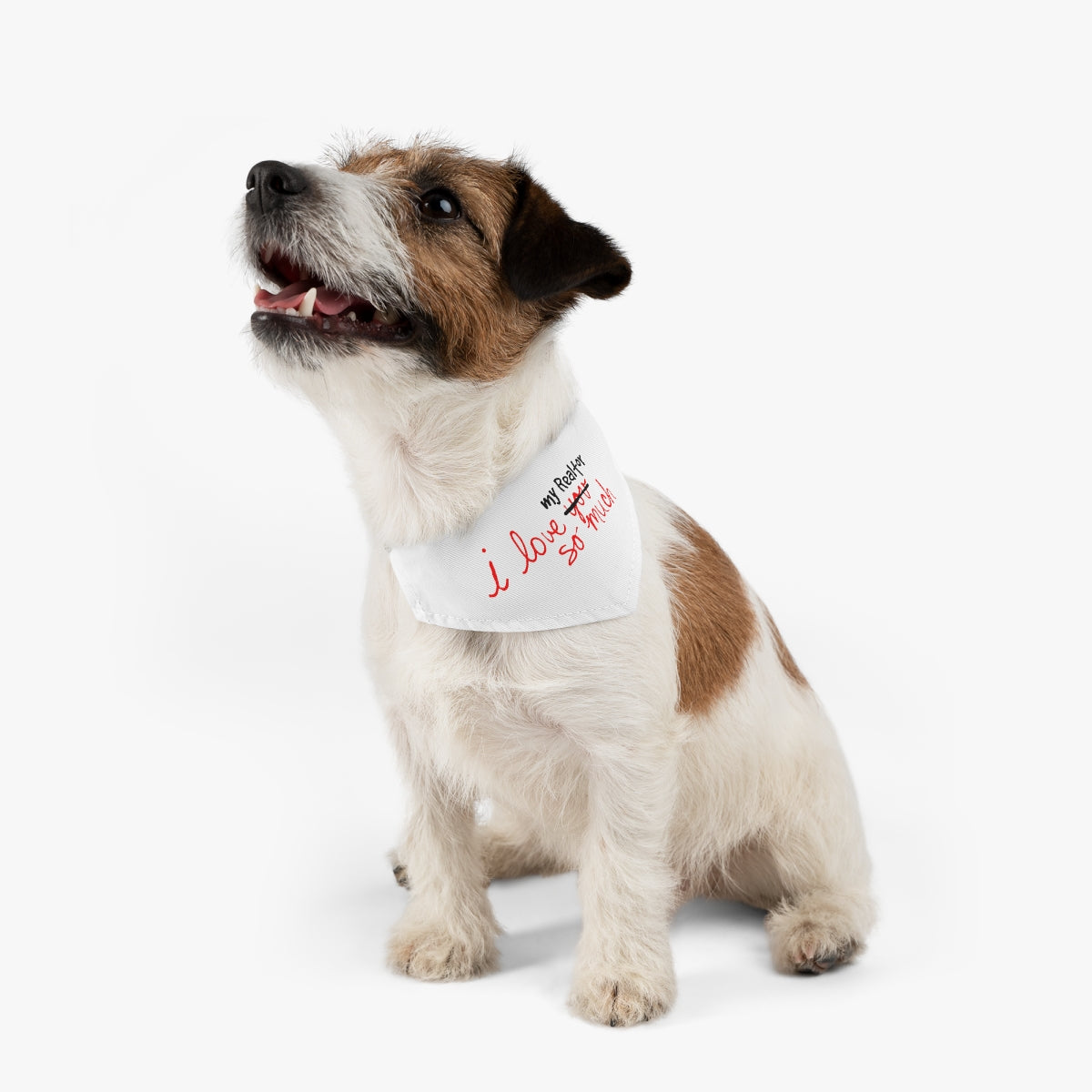 I Love My Realtor So Much Pet Bandana Collar - ShirtRealtorsWear